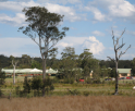 Rezoning Site Major Innes Drive Port Macquarie